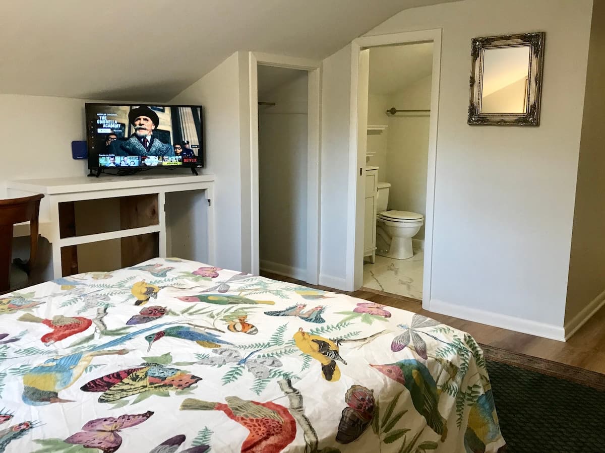 Smart TV with Netflix and Amazon Video